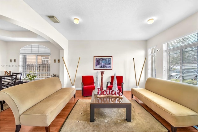 living room featuring hardwood / wood-style floors, a healthy amount of sunlight, and a textured ceiling