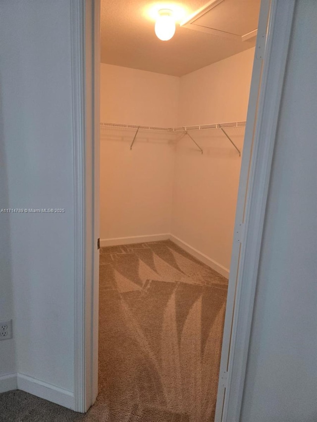 walk in closet featuring carpet floors