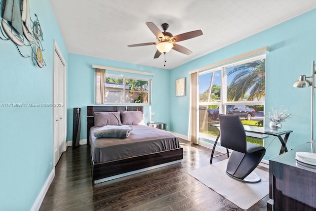 bedroom featuring a closet, ceiling fan, and dark hardwood / wood-style flooring