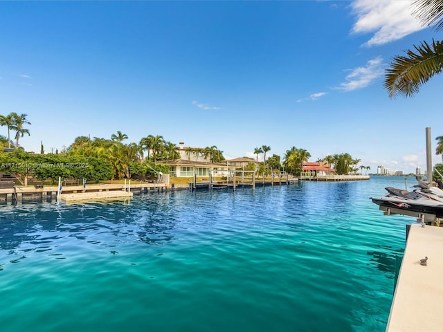 water view featuring a boat dock