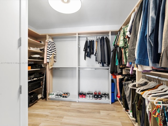 spacious closet featuring light hardwood / wood-style flooring