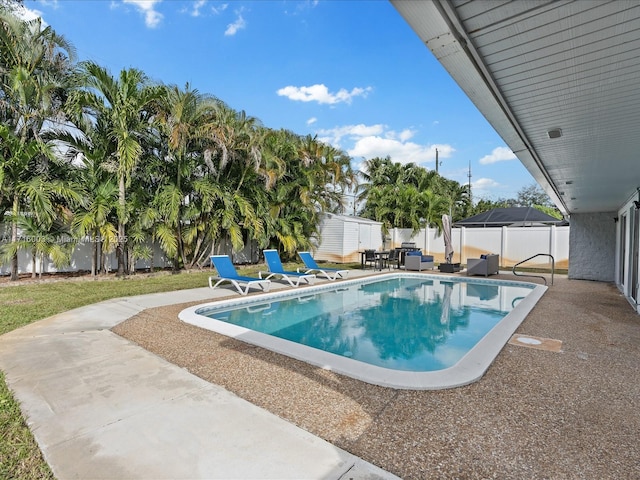 view of swimming pool with a patio and a shed