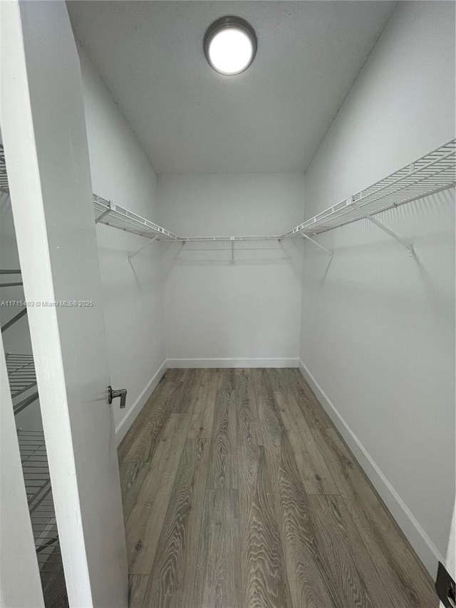 walk in closet featuring hardwood / wood-style flooring