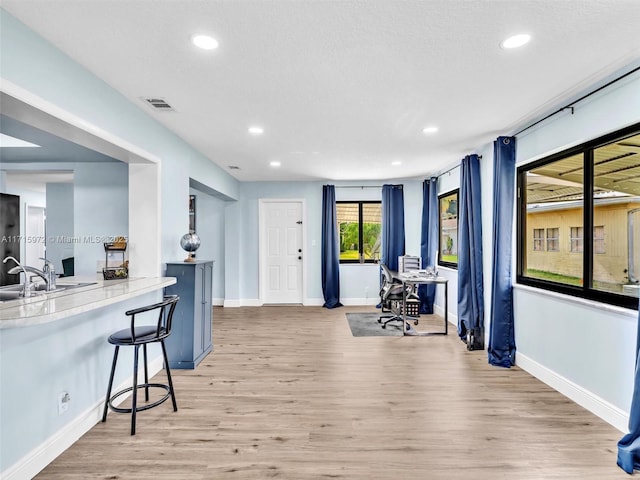 interior space featuring light hardwood / wood-style floors and sink