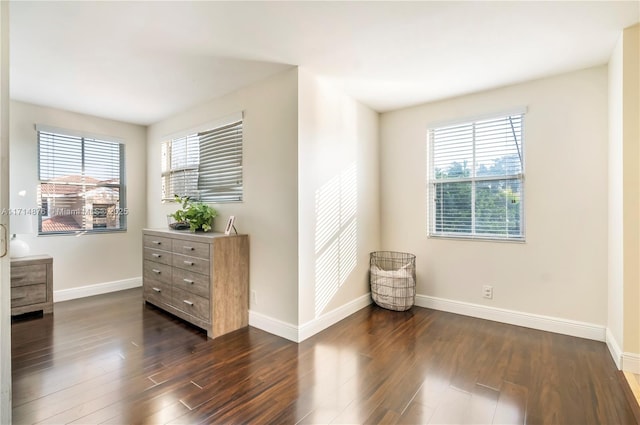 sitting room with dark hardwood / wood-style floors and a wealth of natural light