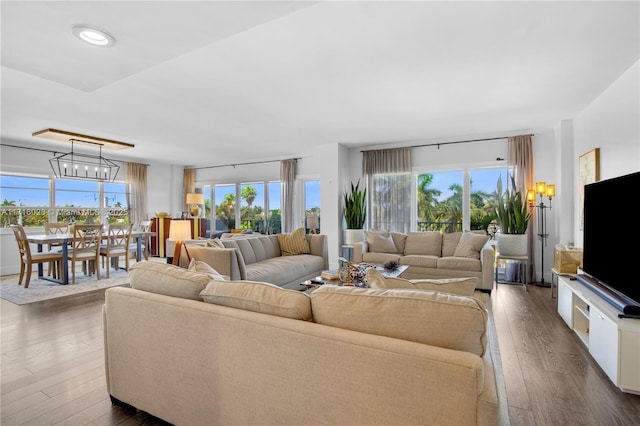 living room featuring dark hardwood / wood-style floors, an inviting chandelier, and a wealth of natural light