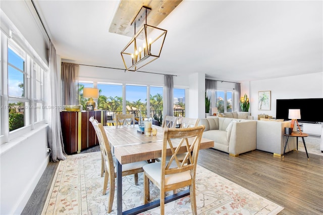 dining room featuring light hardwood / wood-style flooring, a healthy amount of sunlight, and a notable chandelier