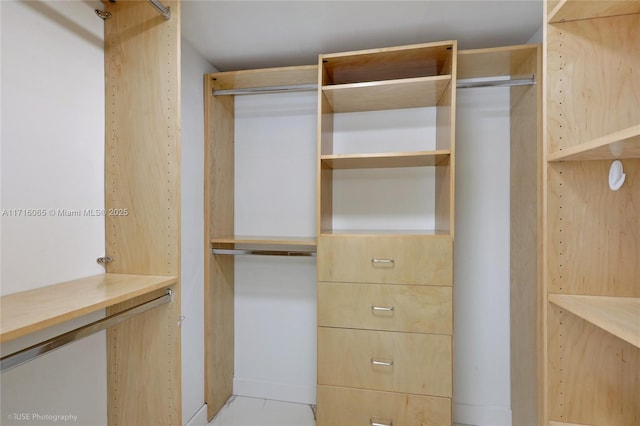 view of spacious closet