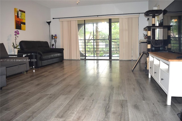 living room with hardwood / wood-style flooring