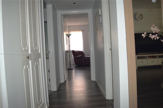 corridor featuring dark hardwood / wood-style flooring