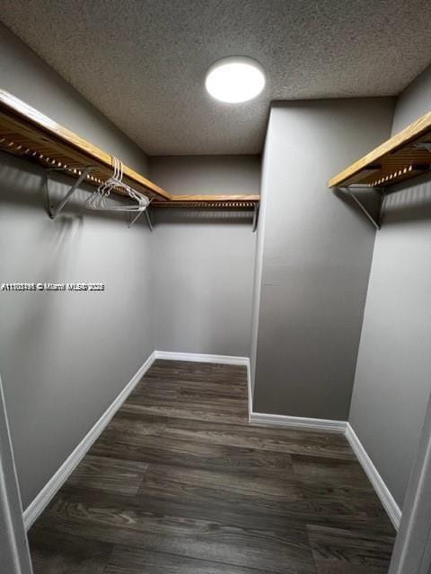 spacious closet featuring dark wood-type flooring