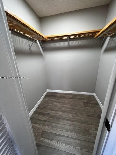 spacious closet featuring dark wood-type flooring