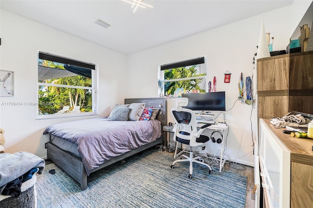 bedroom featuring multiple windows and hardwood / wood-style flooring