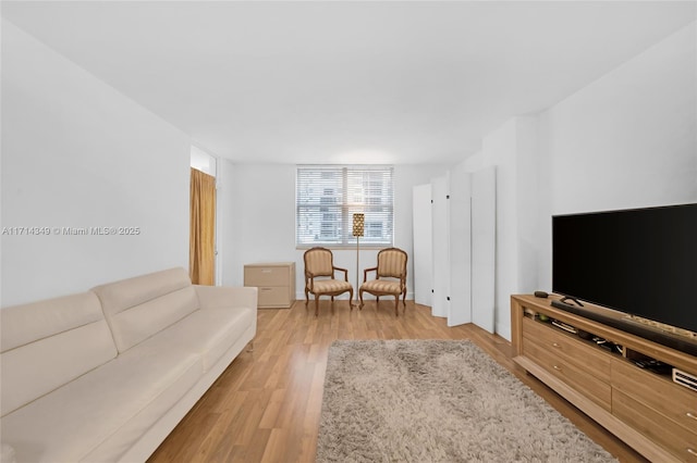 living room with light hardwood / wood-style flooring