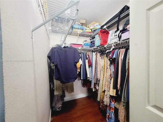 walk in closet featuring hardwood / wood-style floors