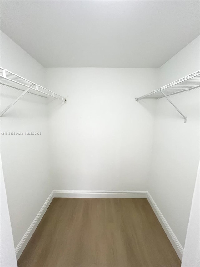 spacious closet with hardwood / wood-style floors