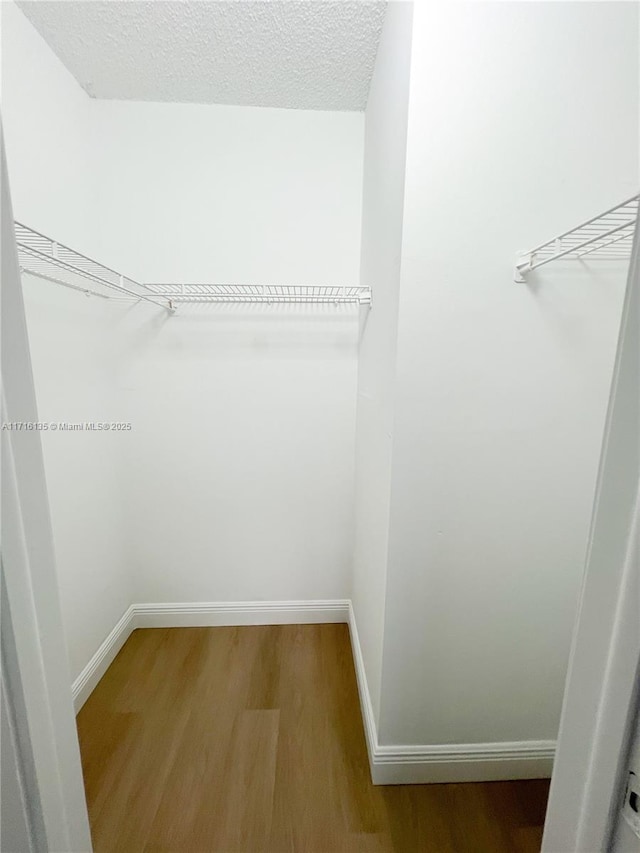 walk in closet featuring hardwood / wood-style floors