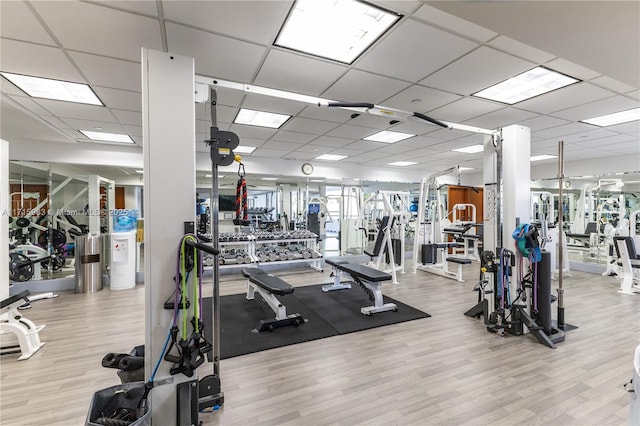 workout area with light hardwood / wood-style floors and a drop ceiling