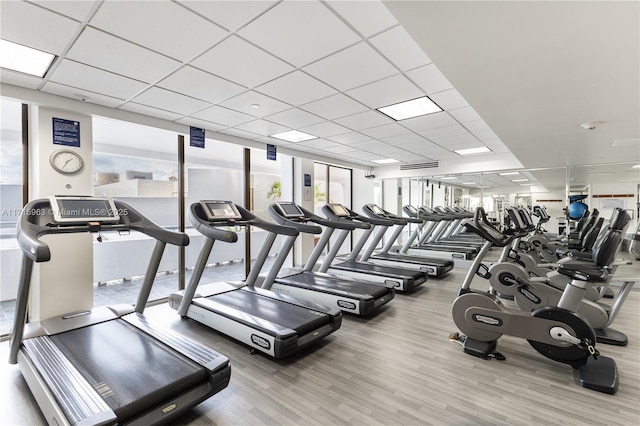 workout area with hardwood / wood-style flooring, a drop ceiling, and a wall of windows