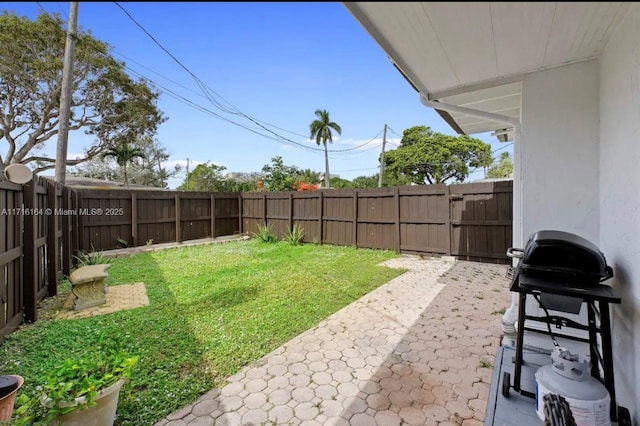 view of yard featuring a patio area