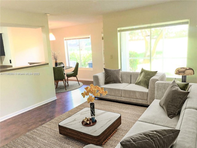 living room featuring hardwood / wood-style floors