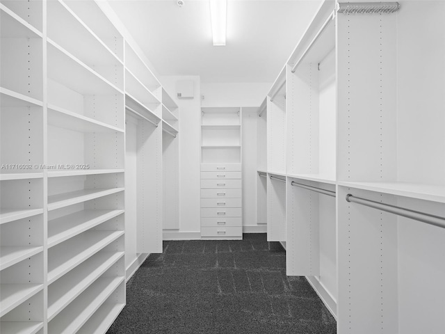 walk in closet with dark colored carpet