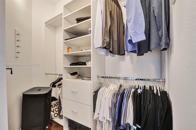 view of spacious closet