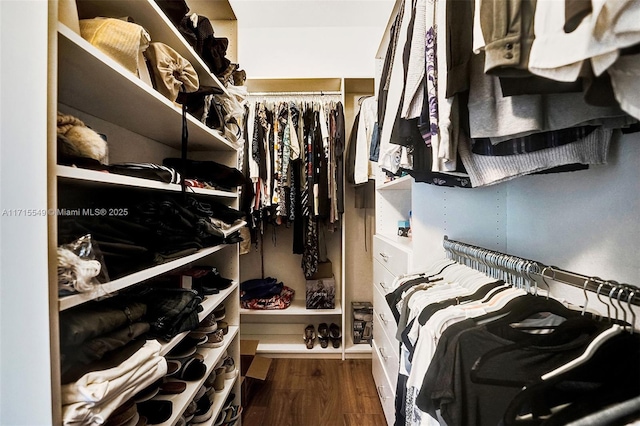 walk in closet with dark wood-type flooring