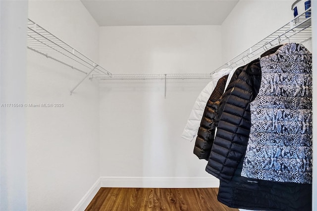 walk in closet with hardwood / wood-style flooring