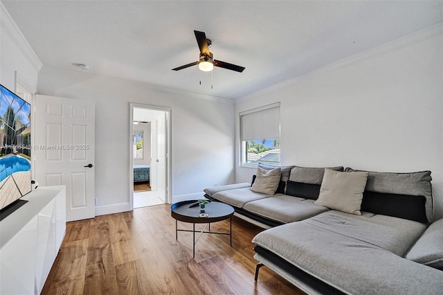 living room with hardwood / wood-style floors, ceiling fan, and ornamental molding