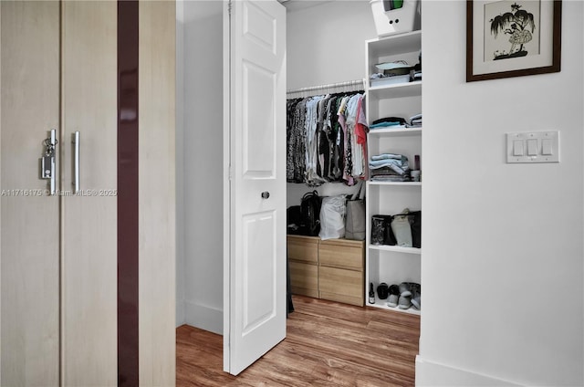 spacious closet with wood-type flooring