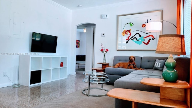 living room featuring crown molding