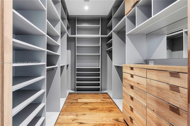 view of walk in closet