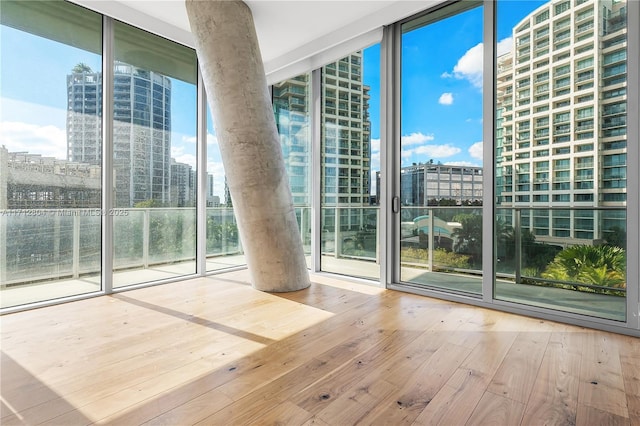 doorway featuring expansive windows and wood-type flooring