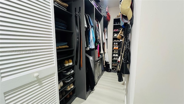 view of spacious closet