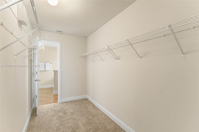 spacious closet featuring carpet floors