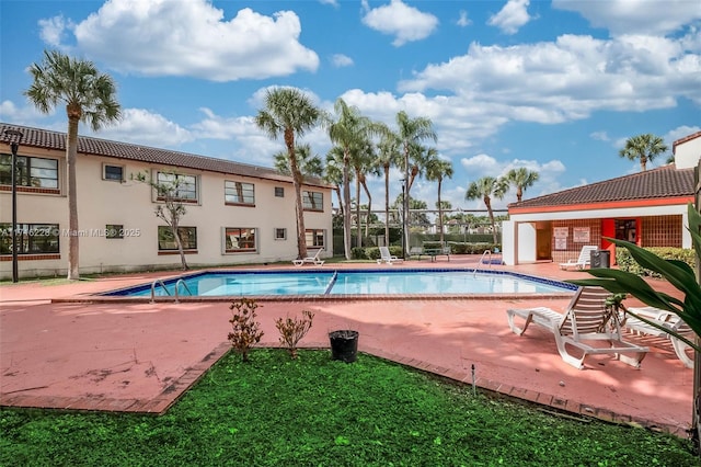 view of swimming pool featuring a patio area