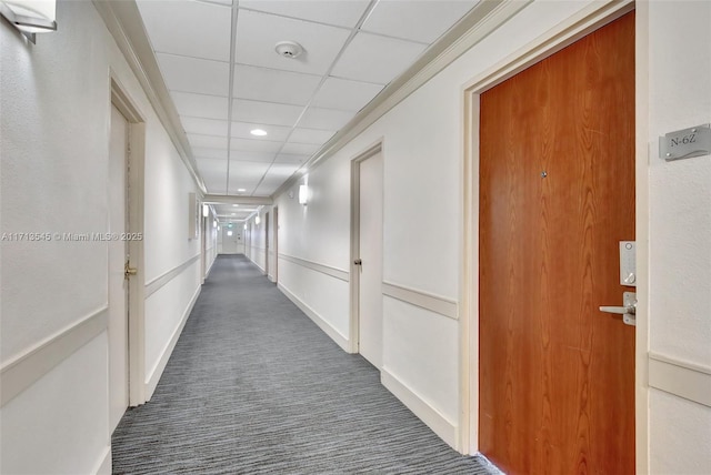 hall featuring dark carpet and a drop ceiling