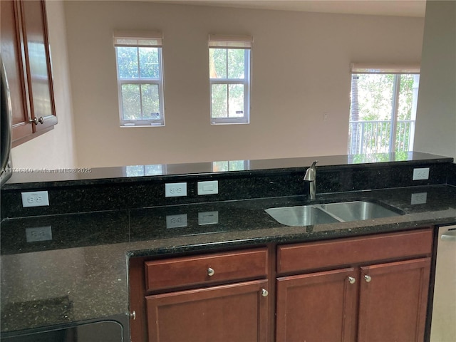 kitchen featuring stainless steel dishwasher, sink, and dark stone counters