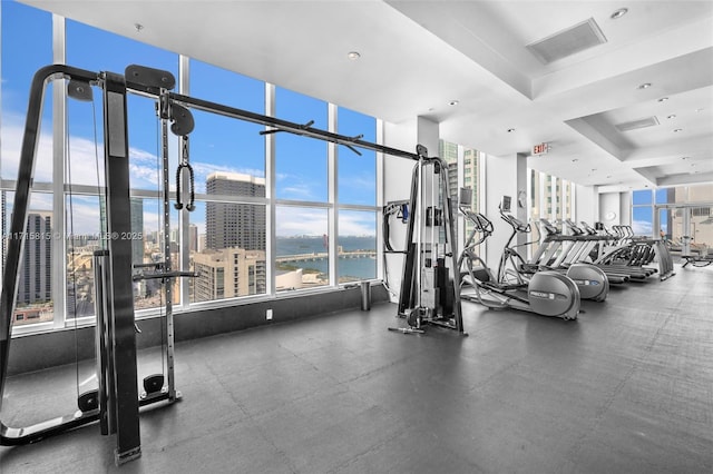 workout area featuring plenty of natural light