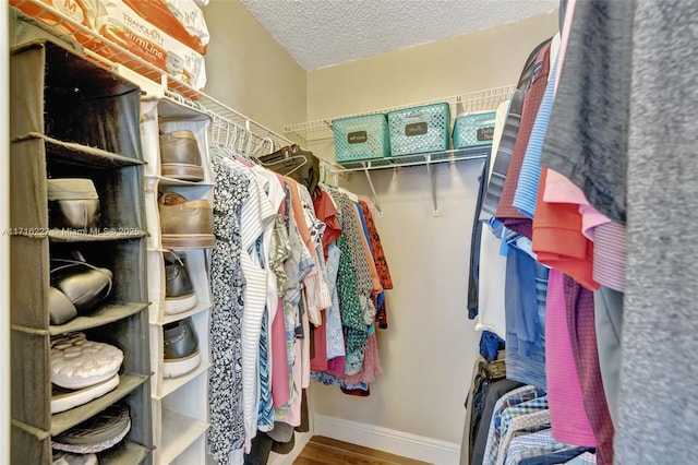 walk in closet featuring hardwood / wood-style floors