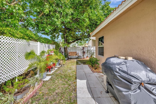 view of yard featuring a patio