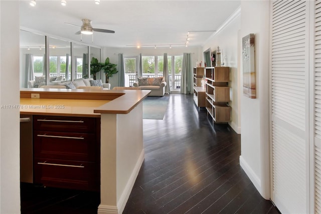 kitchen with ceiling fan, crown molding, and dark wood-type flooring