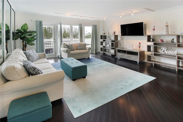 living room with rail lighting, ornamental molding, and dark wood-type flooring