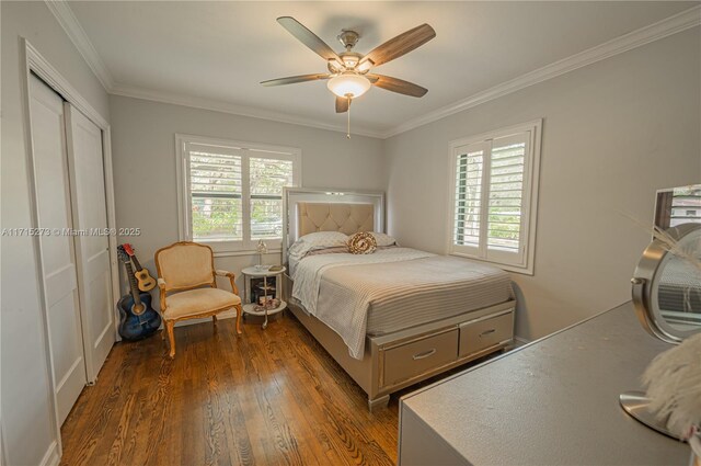 bedroom featuring ceiling fan, dark hardwood / wood-style floors, and crown molding