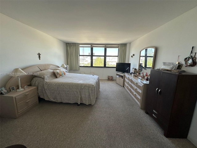 bedroom with carpet floors