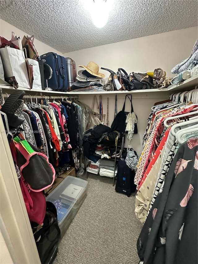 spacious closet with carpet