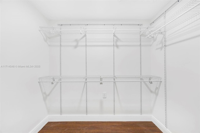 spacious closet featuring dark wood-type flooring