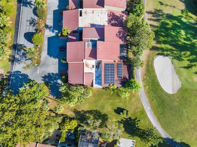 aerial view