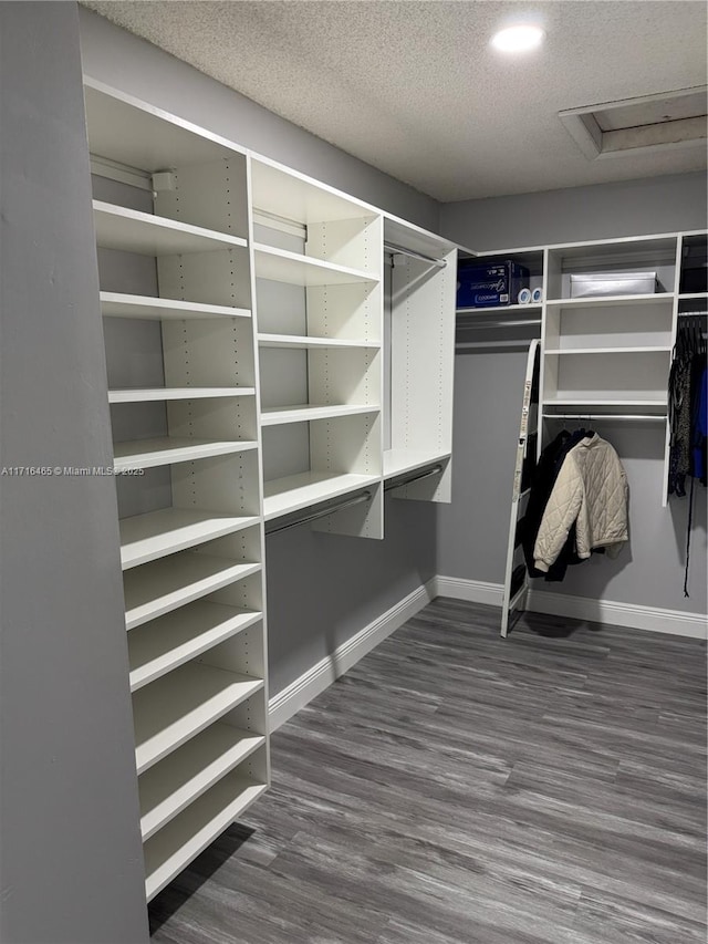 walk in closet with dark wood-type flooring